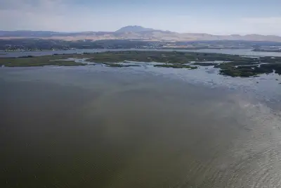 Letters: The Delta tunnels should never be built