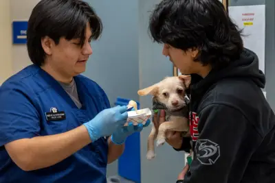 Six months after scathing audit of San Jose shelter, animal advocates fume over unresolved problems