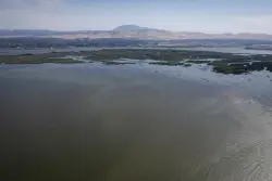 Letters: The Delta tunnels should never be built